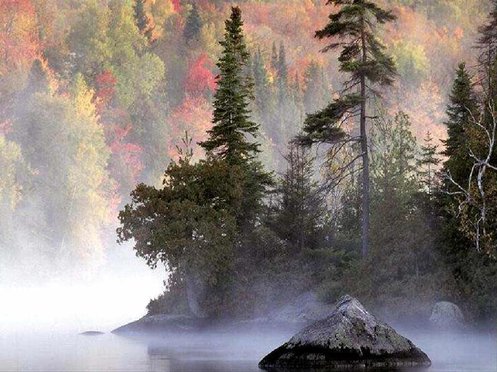 75-wallpaper.sk.jpg