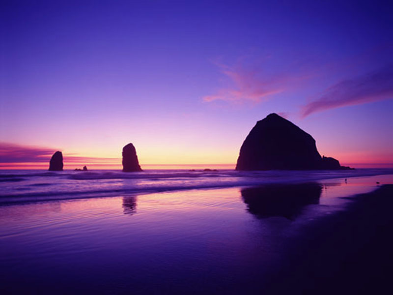 1240-wallpaper.sk.jpg