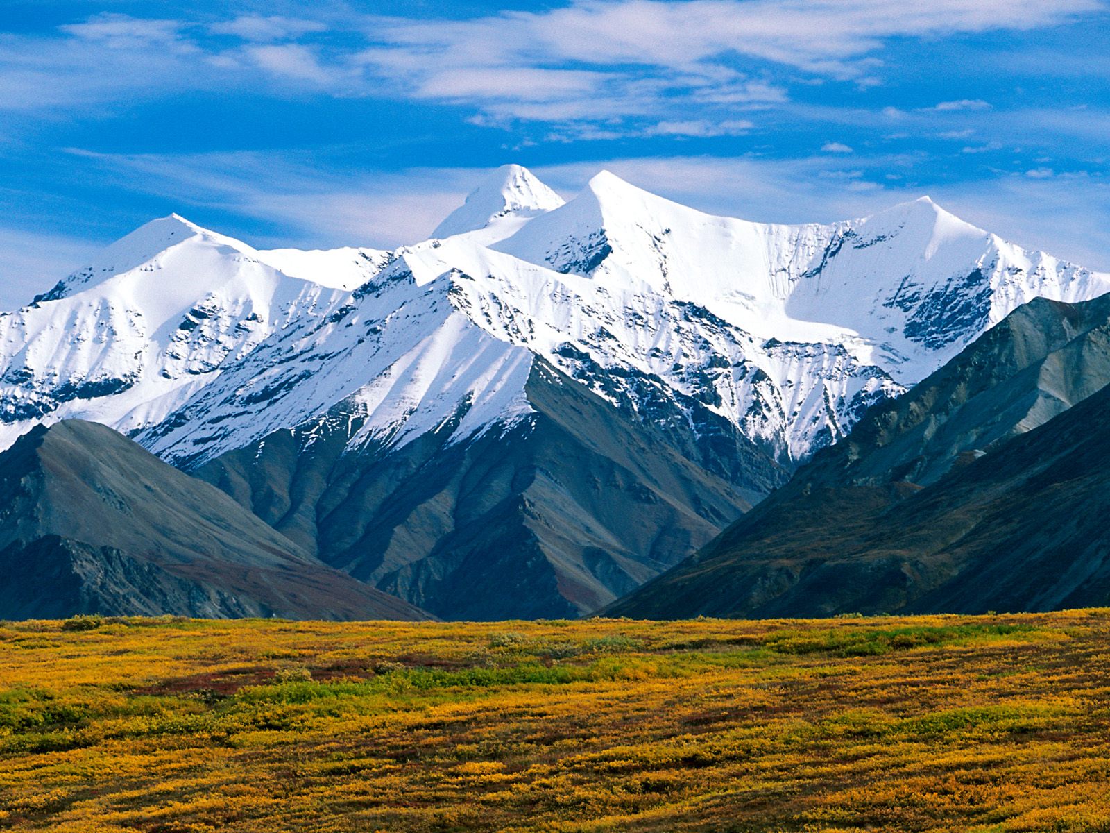 2065-wallpaper.sk.jpg