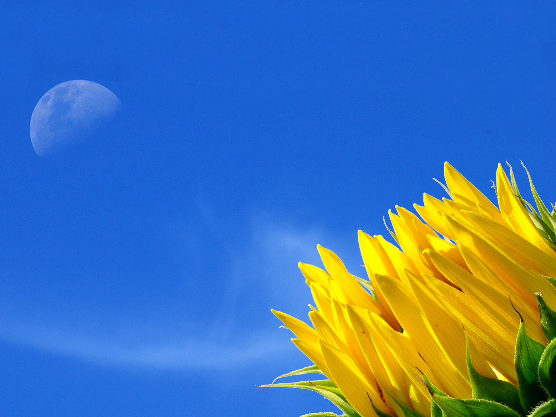 2657d5f94c4a48baebcbbb65447d987ce7e7-full-wallpaper.sk.jpg
