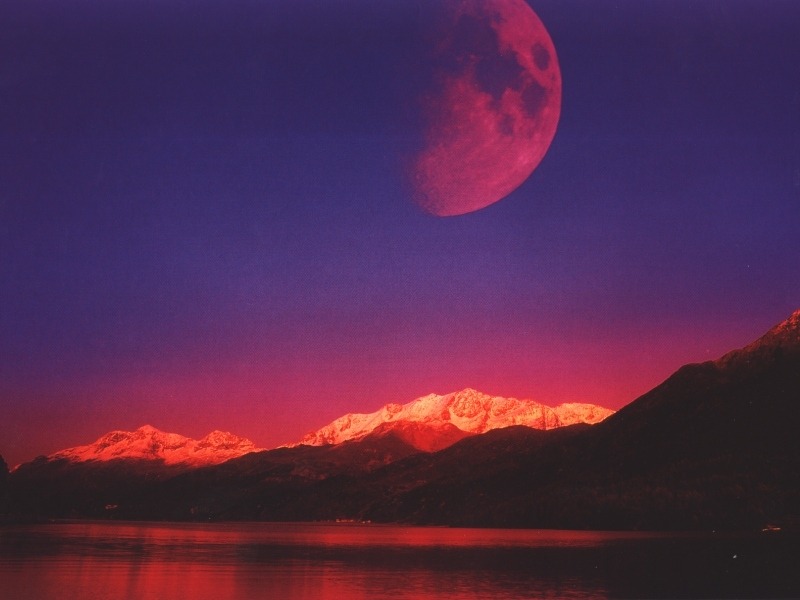 1245-wallpaper.sk.jpg
